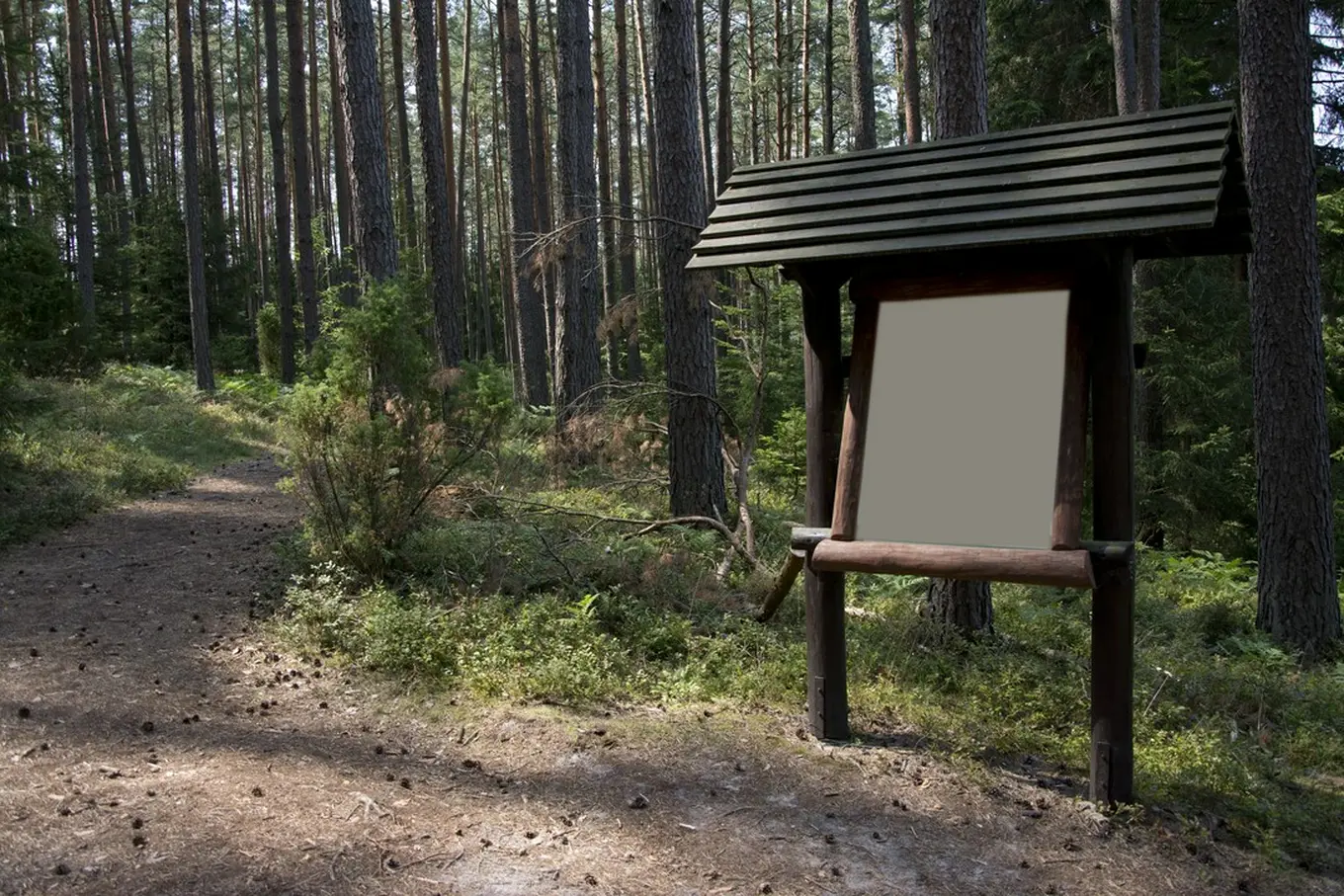 tablica informacyjna w lesie